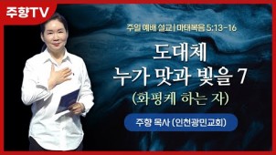 도대체 누가 맛과 빛을 7 (화평케 하는 자) / 23-07-23