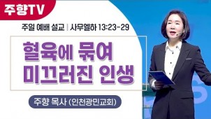 혈육에 묶여 미끄러진 인생 / 24-04-14