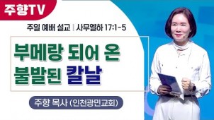 부메랑 되어 온 불발된 칼날 / 24-05-05