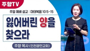 잃어버린 양을 찾으라 / 24-08-18